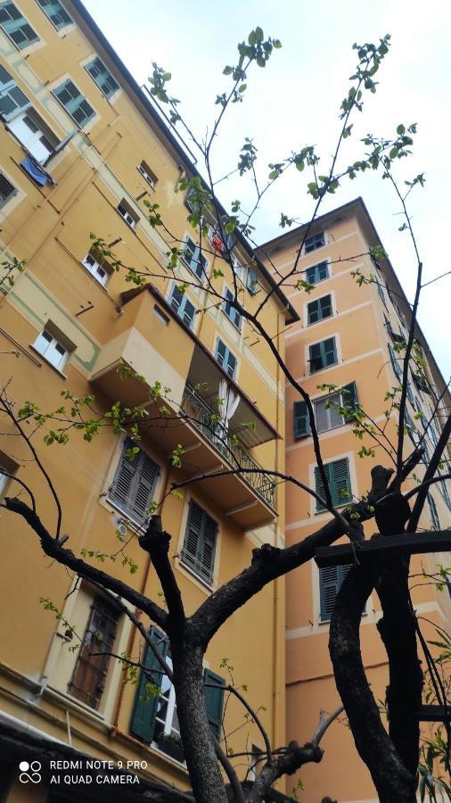 La Nina Daire Camogli Dış mekan fotoğraf
